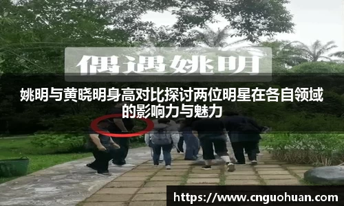 完美体育·WM